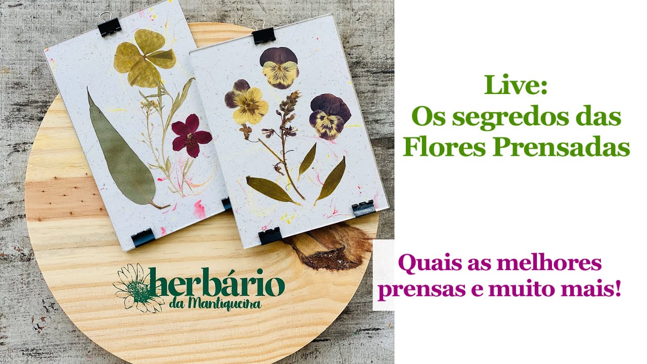 LIVE: Os Segredos das Flores Prensadas