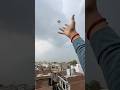 Patang chod di 😱🥰🪁#kite #kiteflying #patang #youtubeshorts #patangbazi