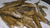 めひかり 深海高級魚 メヒカリ 目光 の天ぷら作り方 絶品 Youtube めひかり 深海高級魚 メヒカリ 目光 の天ぷら作り方 絶品 Youtube