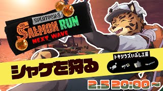 【サーモンランNW/トキシラズ】やりやすい編成(当社比)【樫城槌/Vtuber】