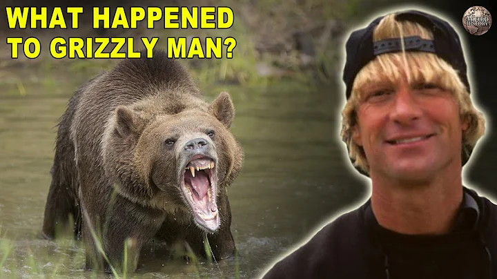 Everything That Had to Go Wrong for "Grizzly Man" ...