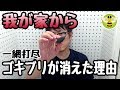 ゴキブリが嫌いな人必見！我が家からゴキブリが消えた理由（効果抜群の駆除剤）