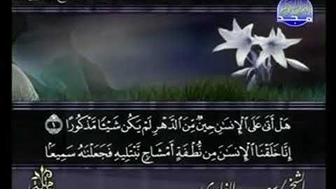 سورة الإنسان  من الآية 1 الى الآية 25
