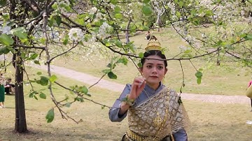 GLOBALink | Thai live-streamer wowed by flower tourism in China