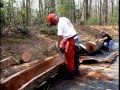 David nash   la dcouverte de heartwood