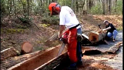 David Nash: Discovering Heartwood