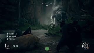 Monkey Business