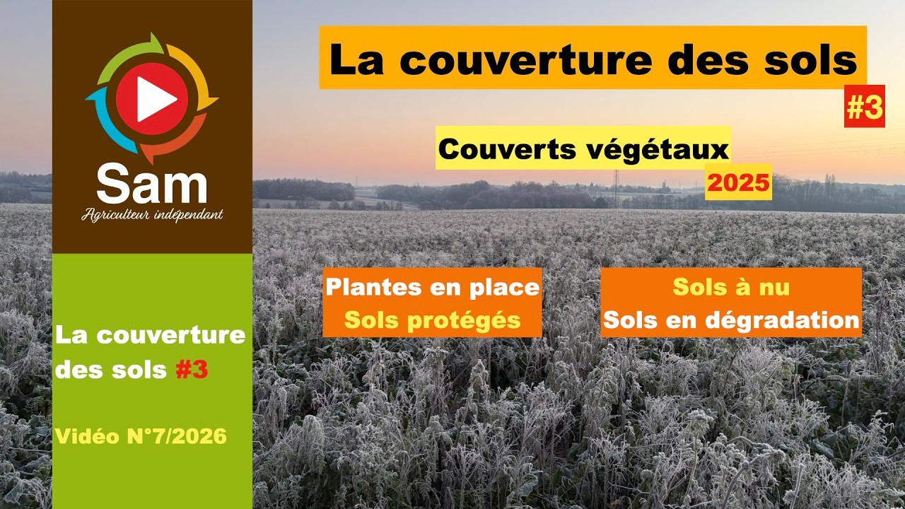 Couverture des sols #3 2026. Les intérêts de préserver la présence de plantes. Sol à nu se dégrade