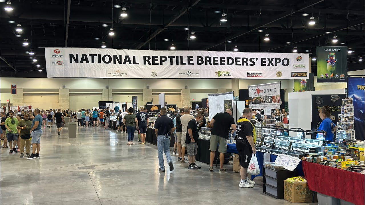 2024 National Reptile Breeders’ Expo (NRBE) Daytona Beach, Florida ...