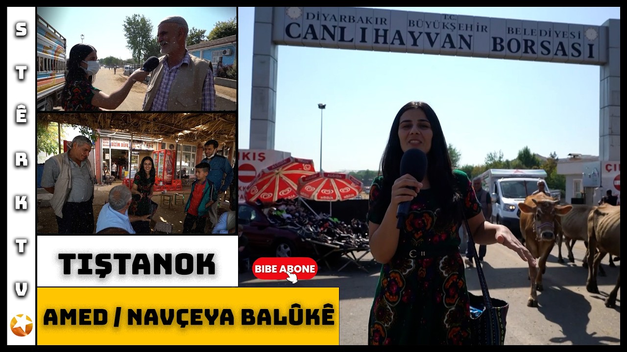 Tiştanok - Amed / Navçeya Balûk