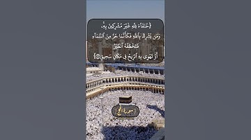 سورة الحج الآية ٣٠ و ٣١ بصوت الشيخ محمد صديق المنشاوي