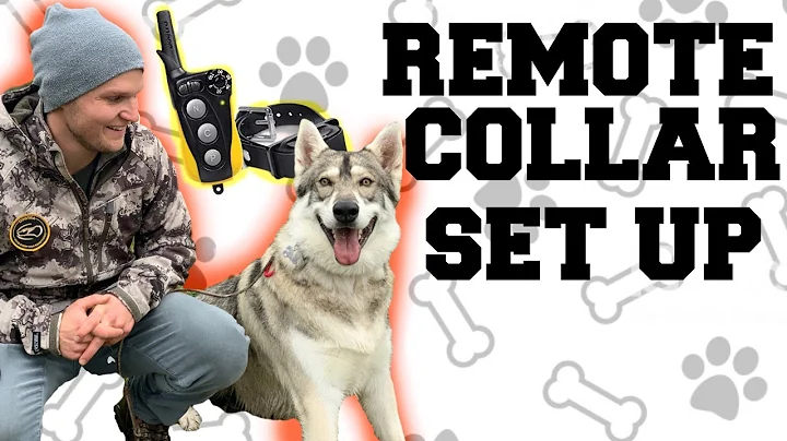 Off leash dog training remote collar unboxing- How to set up your e-collar