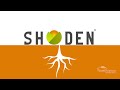 Shoden® Ashwagandha: Everything You Need to Know in 30 Seconds