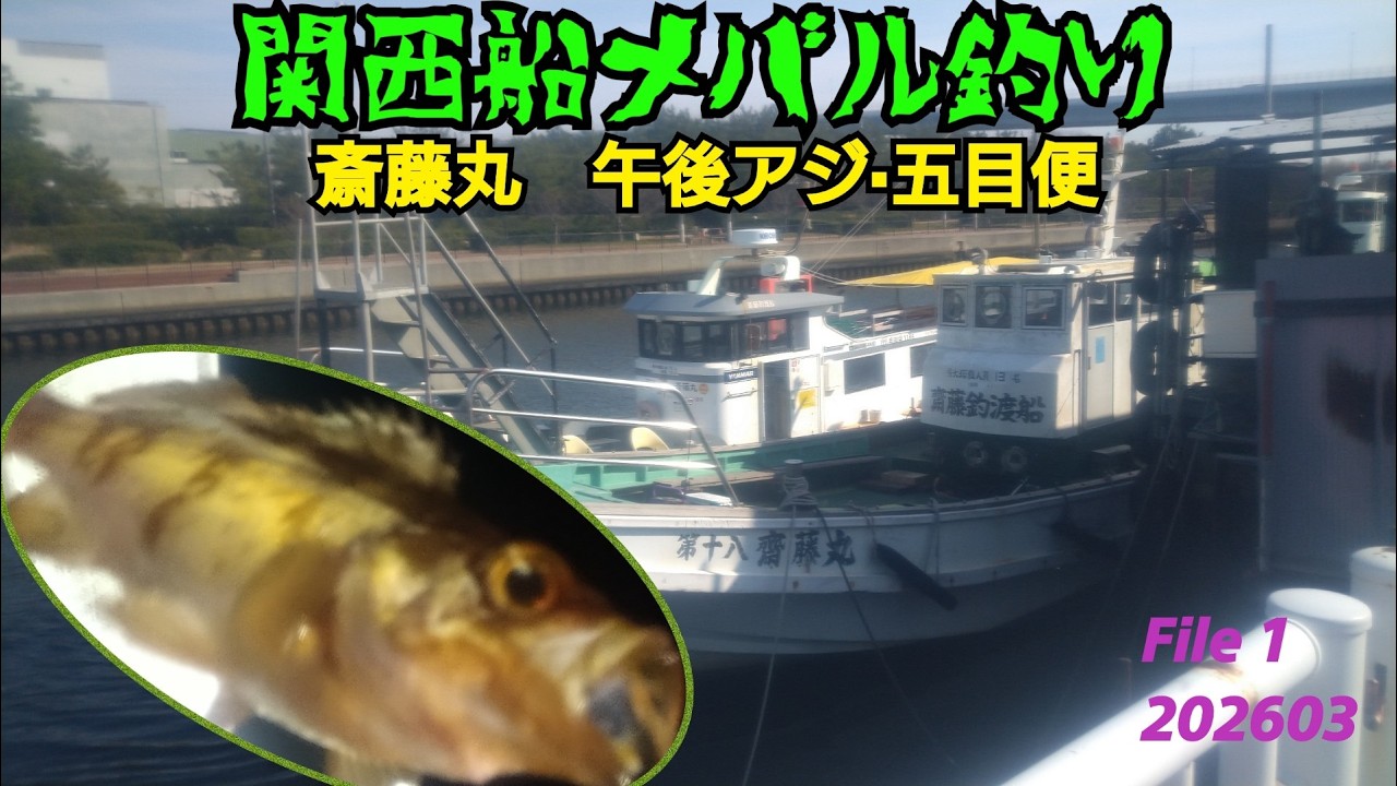 関西船メバル釣り 斎藤丸 午後アジ・五目便 File 1 フルバージョン