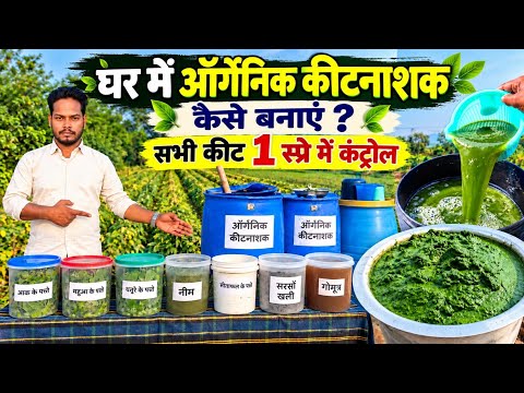 ऑर्गेनिक कीटनाशक कैसे बनाएं💧घर में ऑर्गेनिक कीटनाशक कैसे बनाएं 🌿organic kitnashak🌱panchpatti Kada