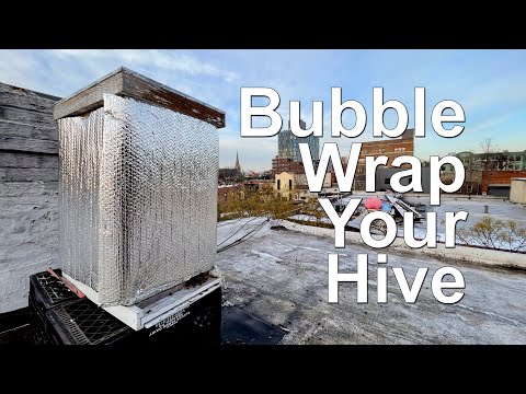 Insulating My Bees Against Cold Winter Temps