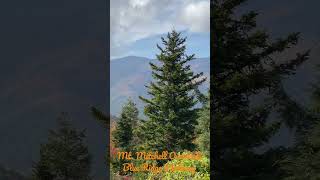 View of the Fall Colors along the Blue Ridge Parkway