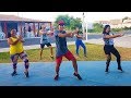 Zumba - Gangnam Style | Psy | #QueimeCalorias | Professor Irtylo Santos