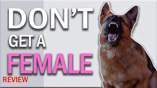 5 things to know before getting a female German Shepherd