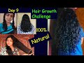 (DAY 9) മുടി ഇരട്ടിയായി വളരാൻ ഇങ്ങനെ ചെയ്യൂ|hair growth challenge malayalam|Miracle Mirror Malayalam