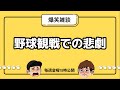 【雑談】野球観戦で起きた悲劇【ラジオ】