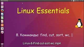 Linux для Начинающих - Команды: find, cut, sort, wc