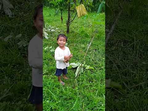 Mandal sikiko sipue kalenga