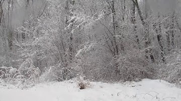 Tomppabeats-Monday Loop (Unofficial Video)