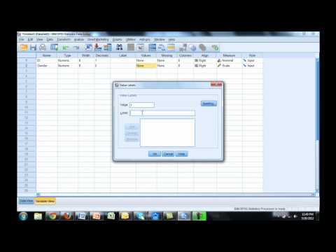 SPSS - Coding and Labeling Variables