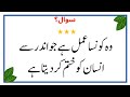 Urdu Paheliyan | Paheliyan | Paheliyan In Urdu | Islamic Question |Islamic Quiz| Islamic Sawal Jawab