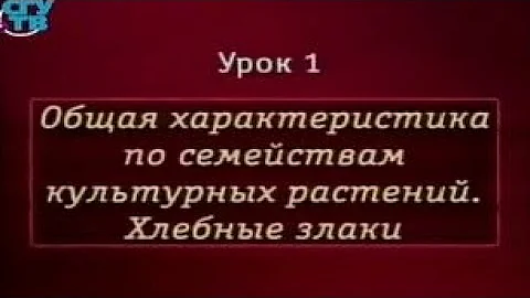 Пищевые растения. Урок 1.1. Общая характеристика по семействам культурных растений. Хлебные злаки