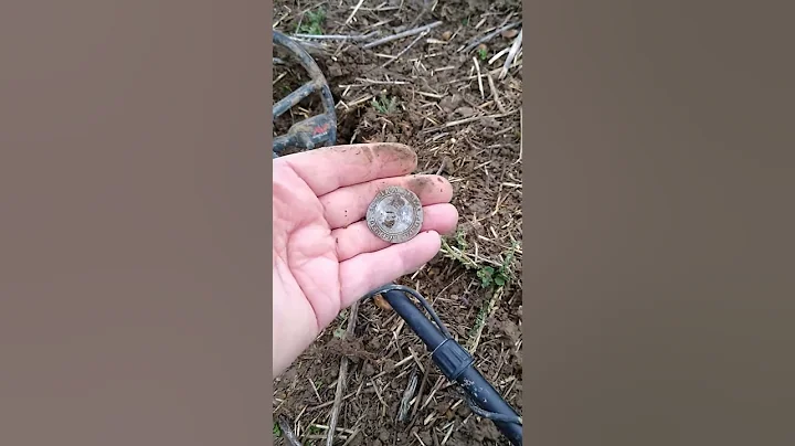History revealed, Elizabeth I shilling