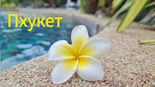 видео: Пхукет! Тайланд! Первые впечатления от страны, пляжа, отеля. Пляж Карон.Phuket Orchid Resort and Spa картинка: Пхукет! Тайланд! Первые впечатления от страны, пляжа, отеля. Пляж Карон.Phuket Orchid Resort and Spa