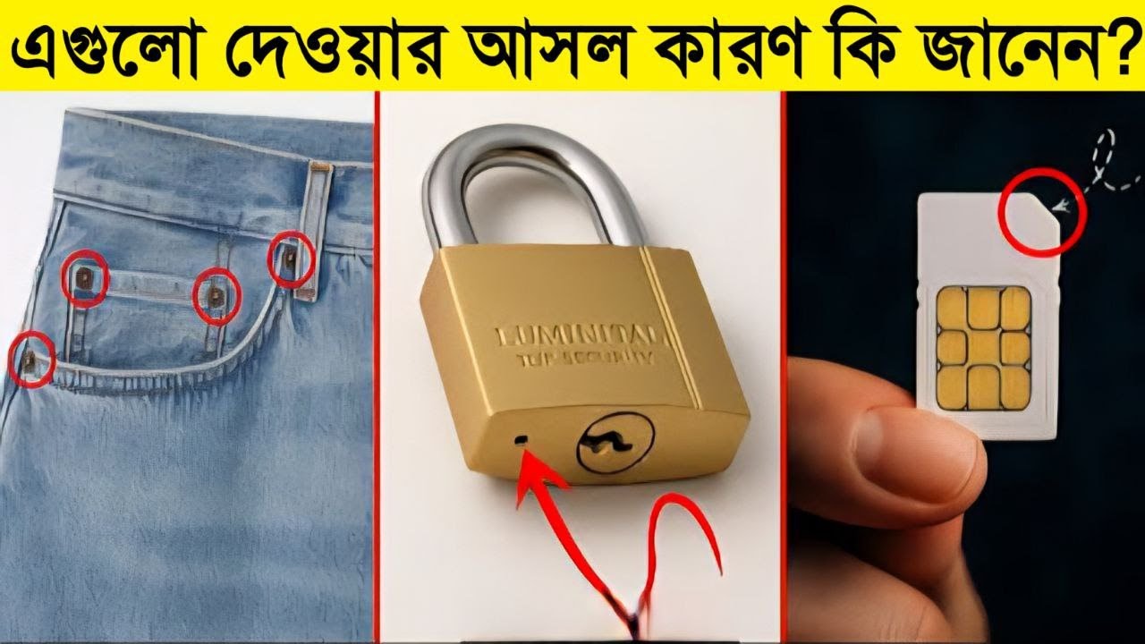 ⁣এই বিষয়গুলো আপনি আগে জানতেন না || 5 Amazing Facts You Didn't Know
