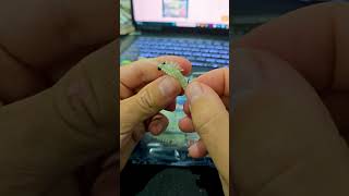 ¡Montaje Vinilo 🔝 para pescar a rockfishing! #pesca #fishing