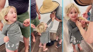 New Kitten Surprise Compilation 2026 | These Kittens Heal You!