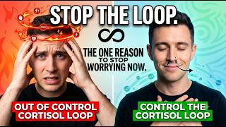 A Reason To Stop Worrying - Watch This Whenever You're Stressed Or Anxious