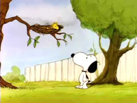 Snoopy - No time for a tango 1979