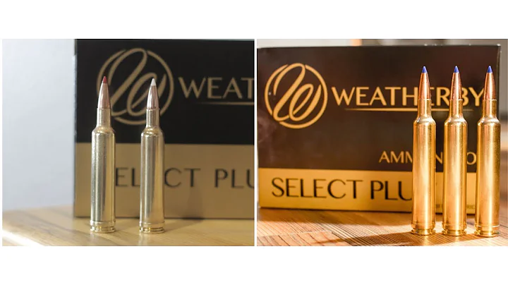257 Weatherby vs 6.5-300 Weatherby: Magnum Madness...