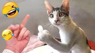 The Most Dramatic Dogs and cats are Waiting for You here!😍FUNNIEST Animal Videos 2024😹🐶#7