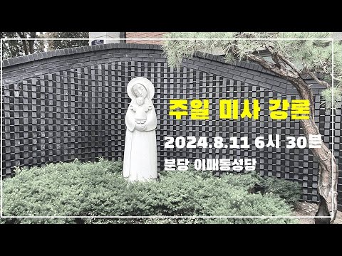 영상썸네일