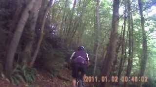 Mountain Biking - Horsley Woods, Gloucestershire, England.