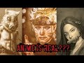 ANIME IS REAL???