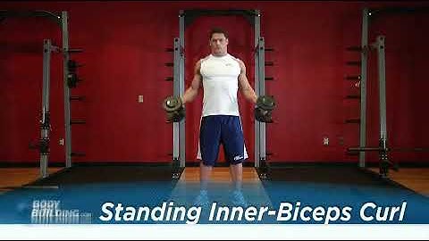 Standing Inner Biceps Curl   Exercise Videos & Guides   Bodybuilding com