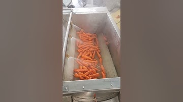 Máy rửa nông sảnTech Garden: Rửa sạch Carot, sâm, gửng, nghệ, riềng,. Lh 0935911775 Trần Trinh.