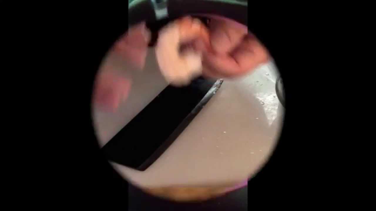 HOW TO TEMPURA SHRIMP WITH PANKO BREAD CRUMBS YouTube