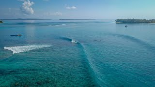 THE WORLD'S BEST SURFING LOCATION