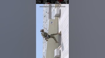 Special Forces On Rappel