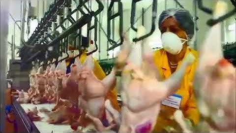 MERCAN - Traditions of quality