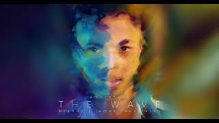 Amorphous & Brandy - The Wave (Visualizer) feat. James Fauntleroy